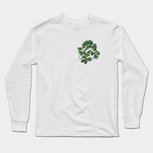 Hoya Manipurensis Long Sleeve T-Shirt